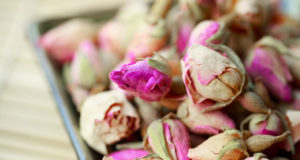 Déshydrateur, à quoi ça sert ? Fleurs séchées
