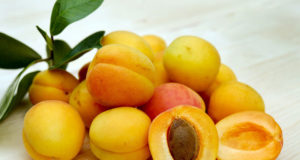 Comment faire de l’abricot séché ? Faire sécher des abricots au déshydrateur