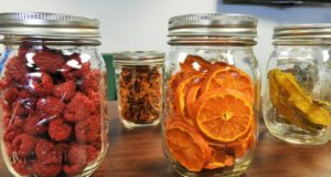 Déshydrateur alimentaire : guide complet pour tout savoir sur l’appareil ! déshydrateur alimentaire