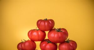 Astuces pour prolonger la fraîcheur de vos tomates au quotidien tomates au quotidien