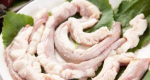 Tout savoir sur les boyaux naturels de porc : un incontournable de la charcuterie