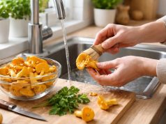 Comment nettoyer les chanterelles pour une cuisine saine et savoureuse apprenez à nettoyer les chanterelles correctement pour préserver leur saveur et profiter d'une cuisine saine et délicieuse.